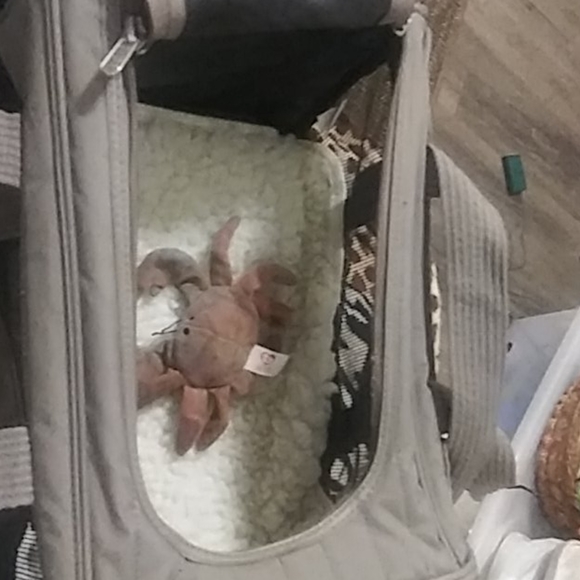 Sherpa pet carrier - Picture 2 of 3